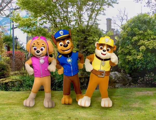 Paw Patrol Characters with a green background