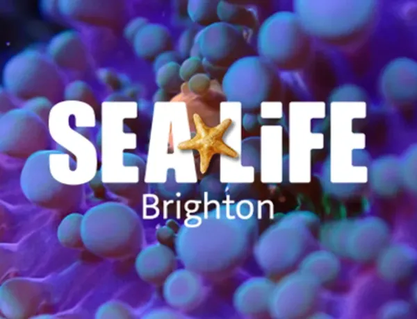 SEA LIFE Brighton