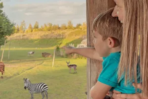 Chessington Zoo Hotel