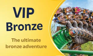 VIP BRONZE