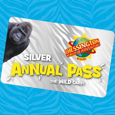 Chessington Silver Pass Square