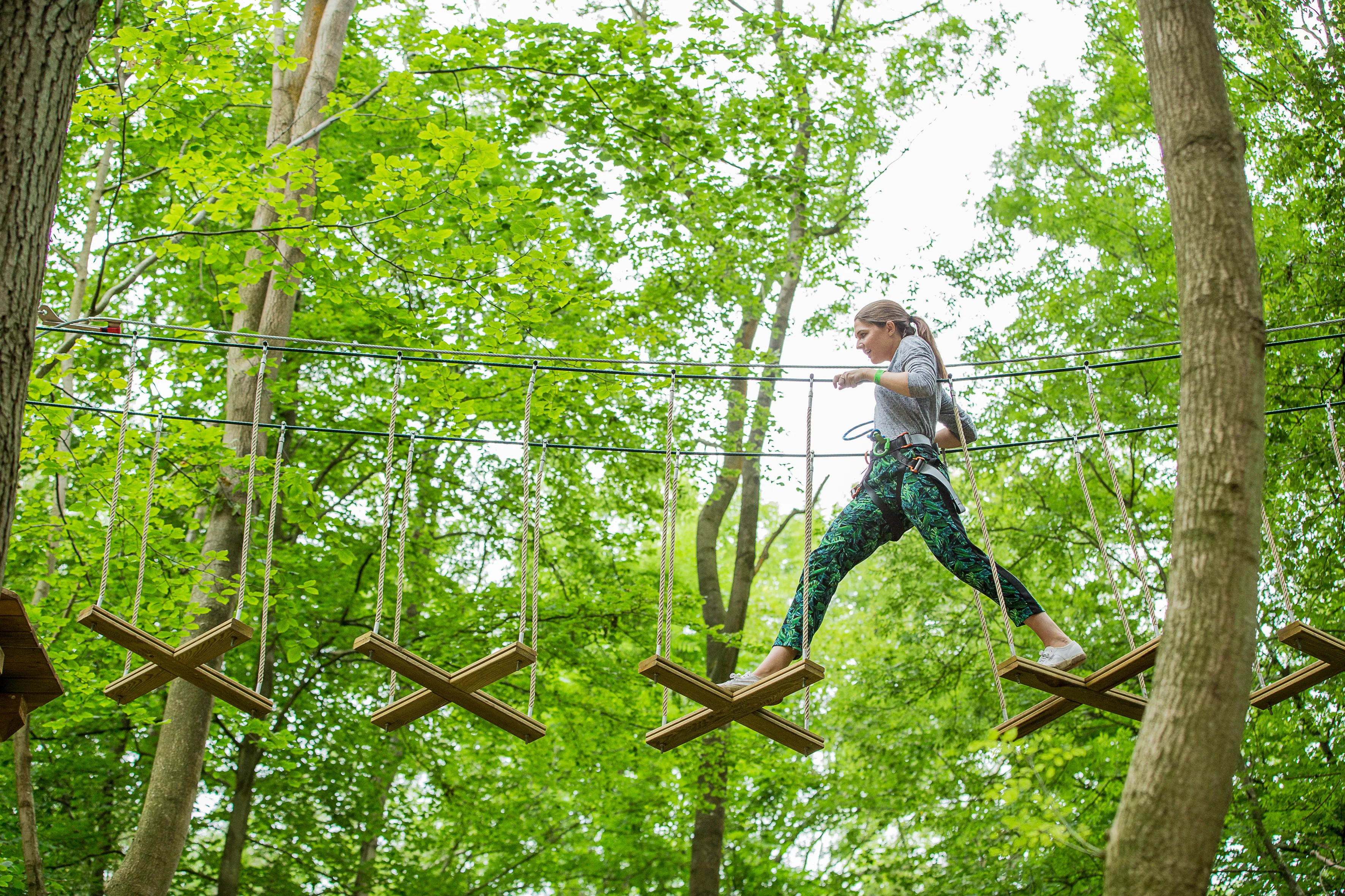 Running Through The Trees On Go Ape Tree Top Adventure At Chessington World Of Adventures Resort