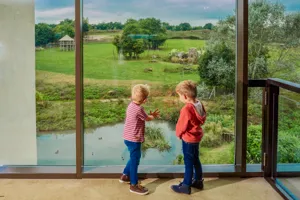 The View Of The Wanyama Reserve From The Chessington Safari Hotel