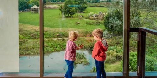 The View Of The Wanyama Reserve From The Chessington Safari Hotel