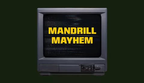 Mandrill Mayhem1