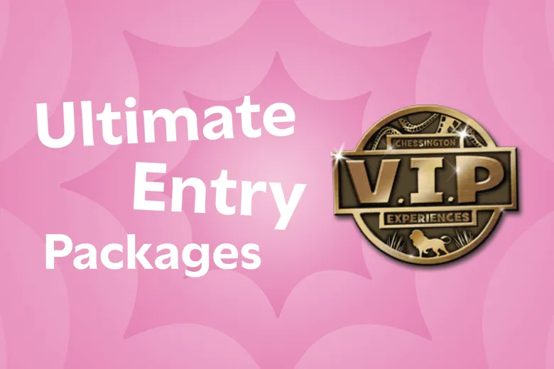 Chaser Vip VIP Experiences at Chessington World of Adventures
