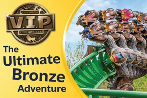 VIP WEB IMAGE 04