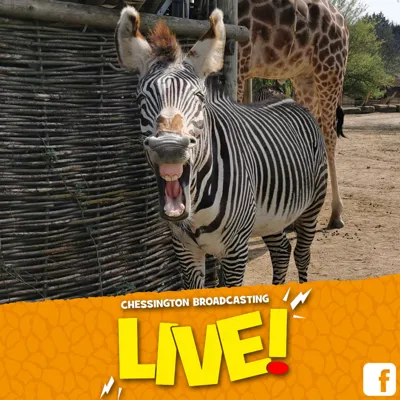 Chessington Broadcasting Live