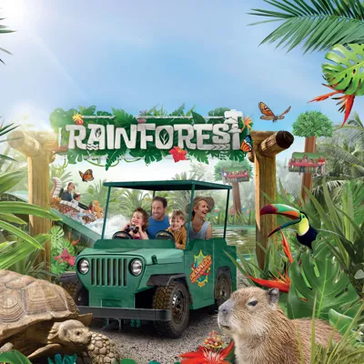 The Rainforest Websitev2
