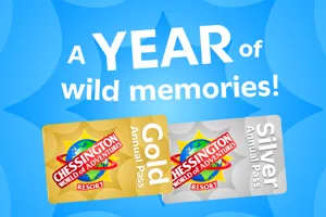 Renewal Web Image 01