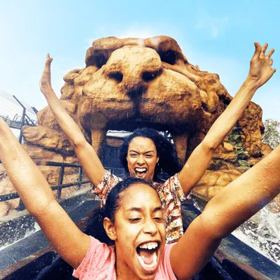 Wilderfest Chessington Event