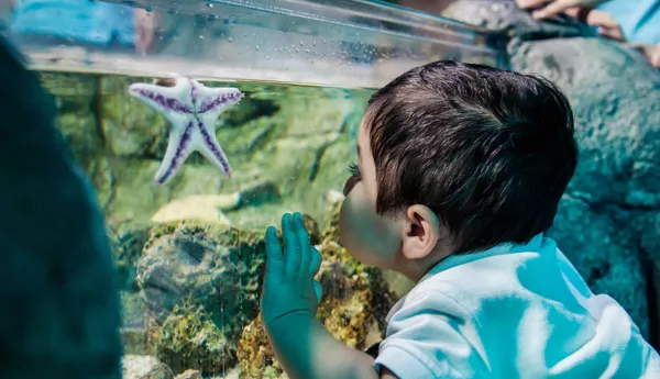 Chessington Family Aquarium