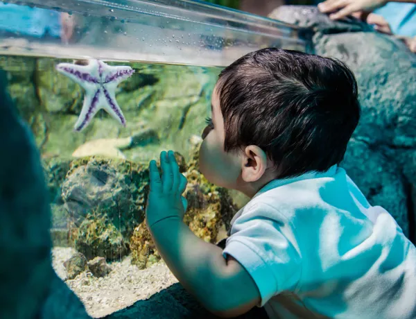 Chessington Family Aquarium