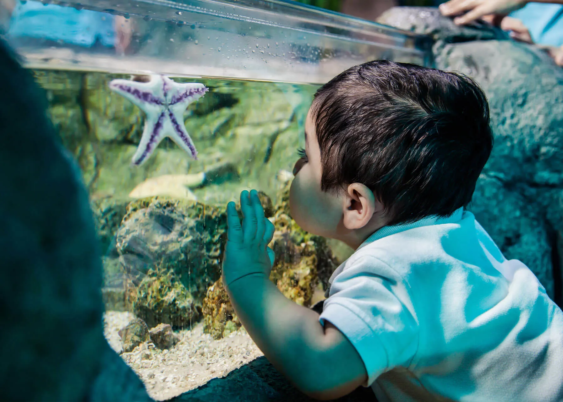 Family Theme Park Zoo Sea LIFE Centre Chessington