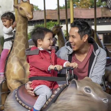 Adventure Tree Carousel Ride