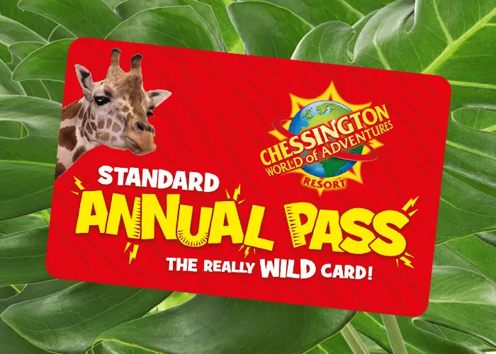 Chessington Standard Annual Pass on top of Leaves