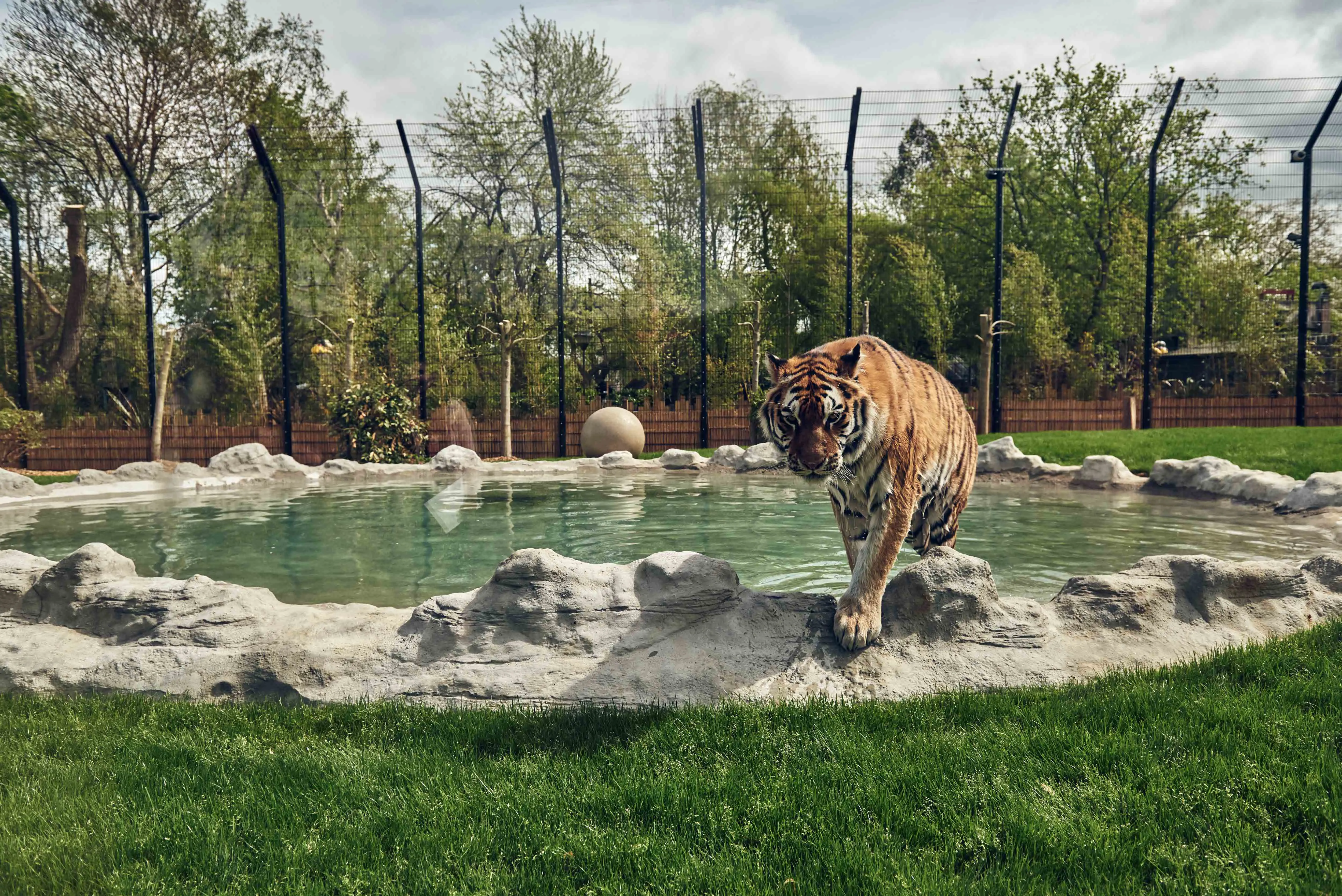 Land of the Tiger at Chessington World of Adventures Resort