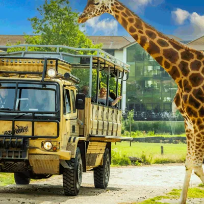 ZUFARI At Chessington World Of Adventures Resort