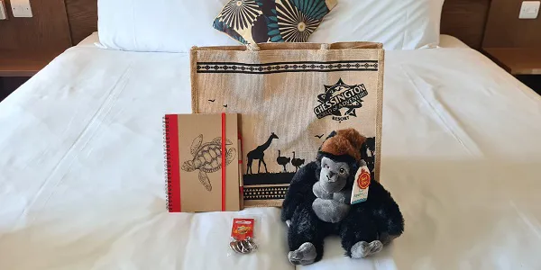 Explorer Package 