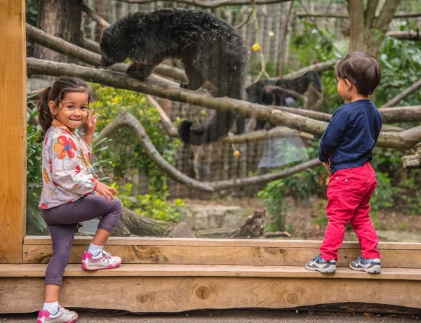 Roarsome Play Centre - All You Need to Know BEFORE You Go (with Photos)