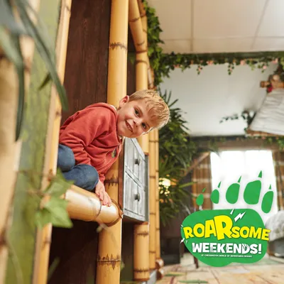 Roarsome Family Weekends Away