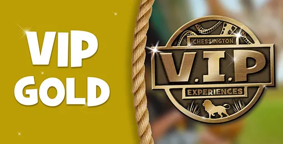 Vip Gold