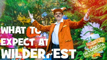 Wilderfest What To Expect