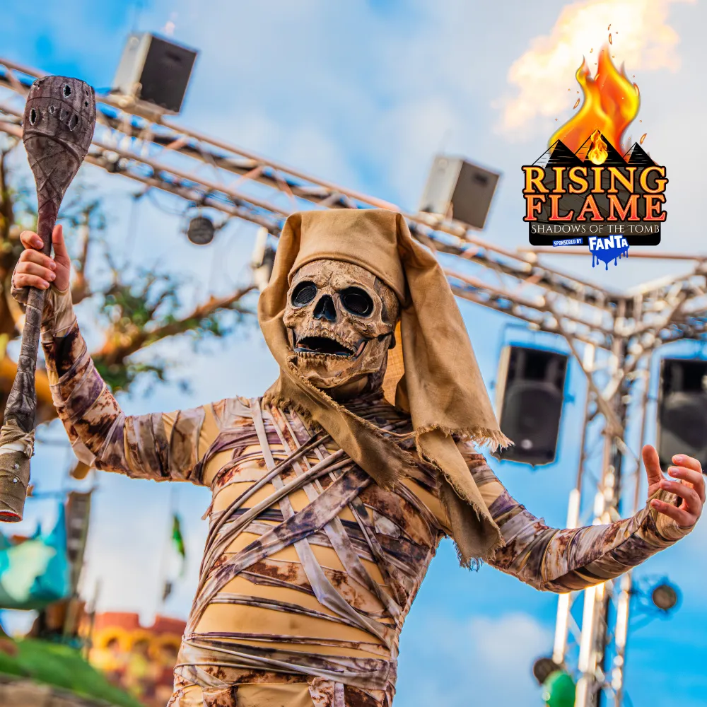 Rising Flame Website Image