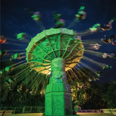 Monkey Swinger at Dusk