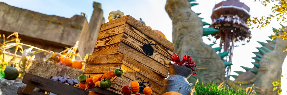 Howl'o'ween Theming & Croc Drop