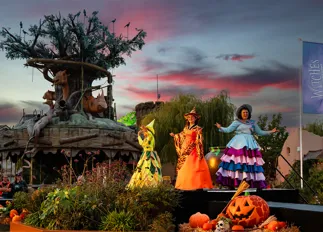 Howl'o'ween Witches