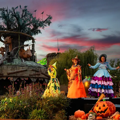 Howl'o'ween Witches