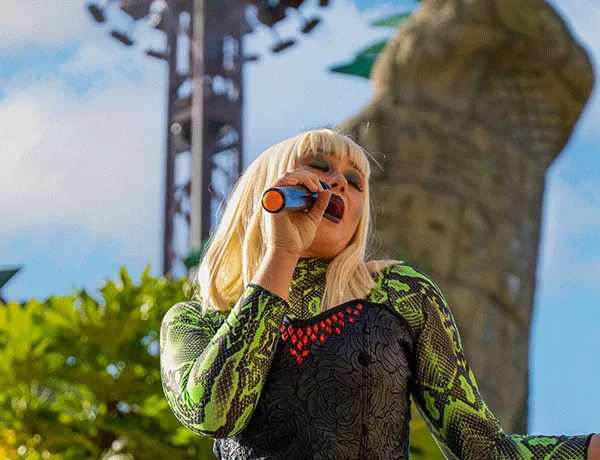 Wilderfest - singer