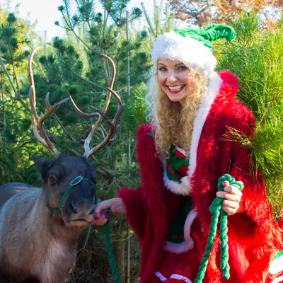 Elf With Reindeer 2
