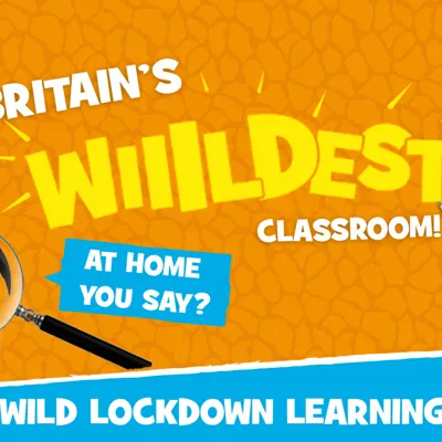 Chessington Lockdown Learning