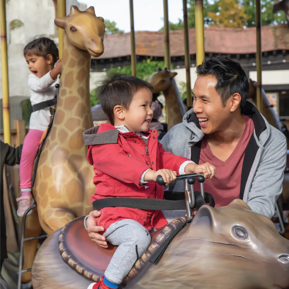 ADVENTURE TREE CAROUSEL (1)