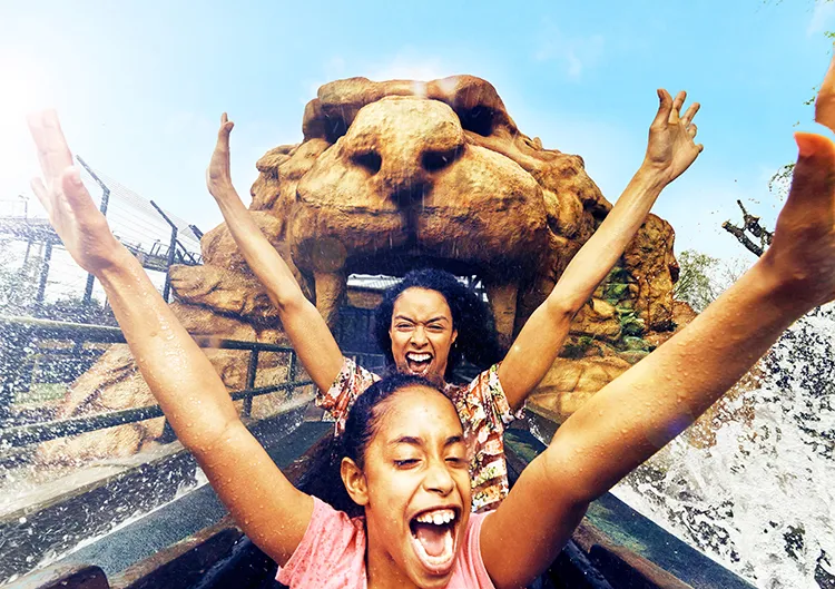 People on Tiger Rock at Chessington World of Adventures Resort