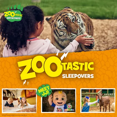 Zoo Sleepovers