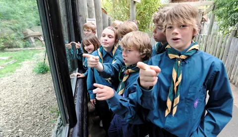 Scouts pointing into enclosure