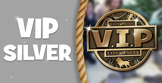 Vip Silver