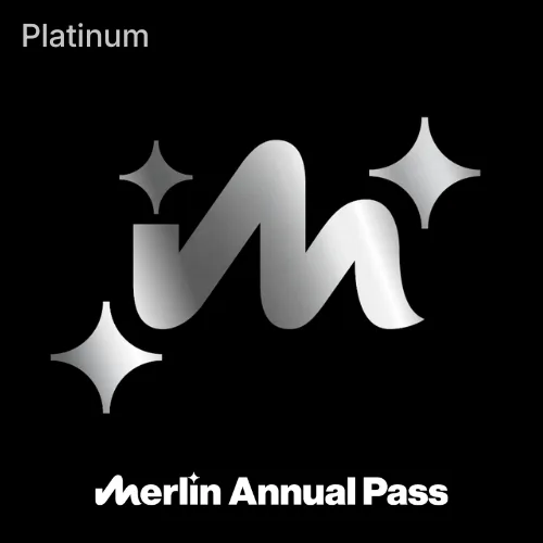 Platinum Square (1)
