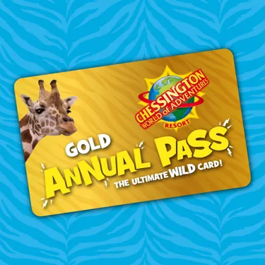 Chessington Annual Pass Gold Prebooks