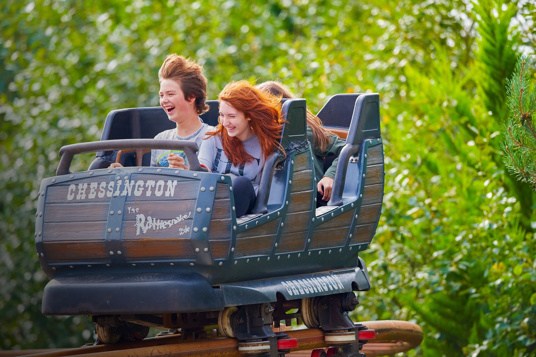 Rattlesnake at Chessington World of Adventures