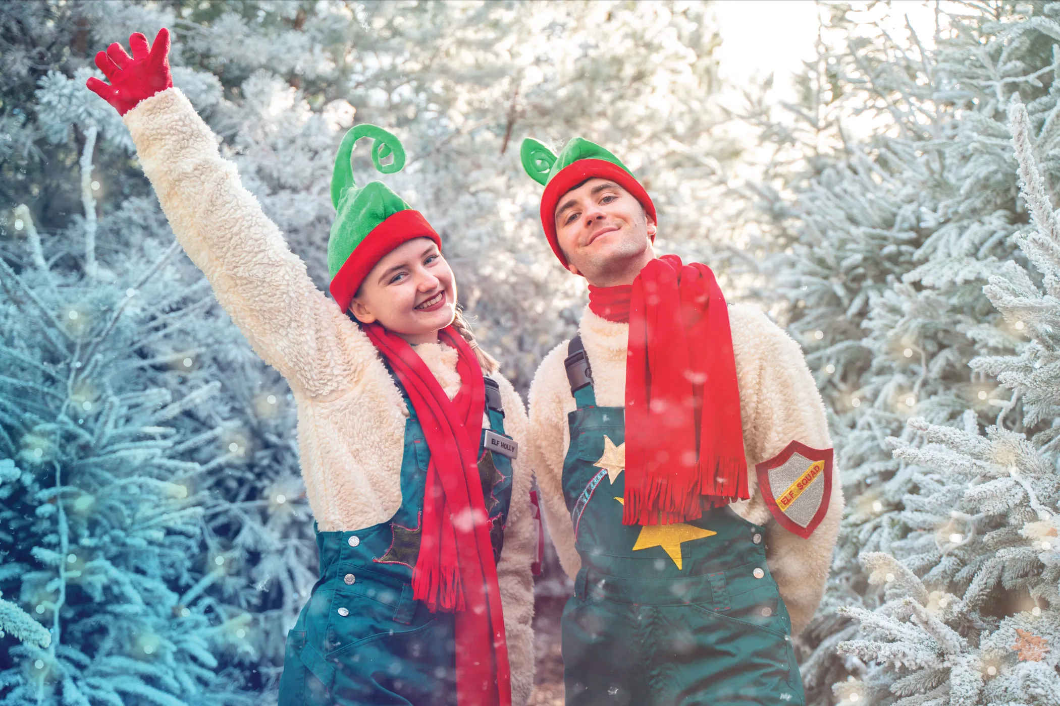 CHRISTMAS VILLAGE (1)