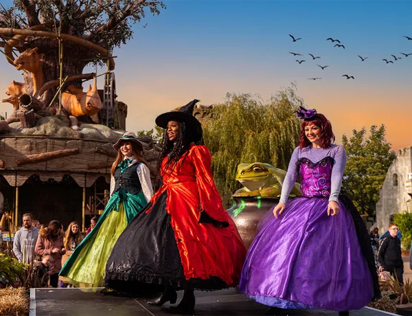 Halloween Witches