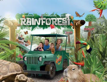 The Rainforest Websitev2 (1)