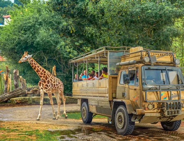 Families looking at a giraffe from a ZUFARI truck at Chessington World of Adventures