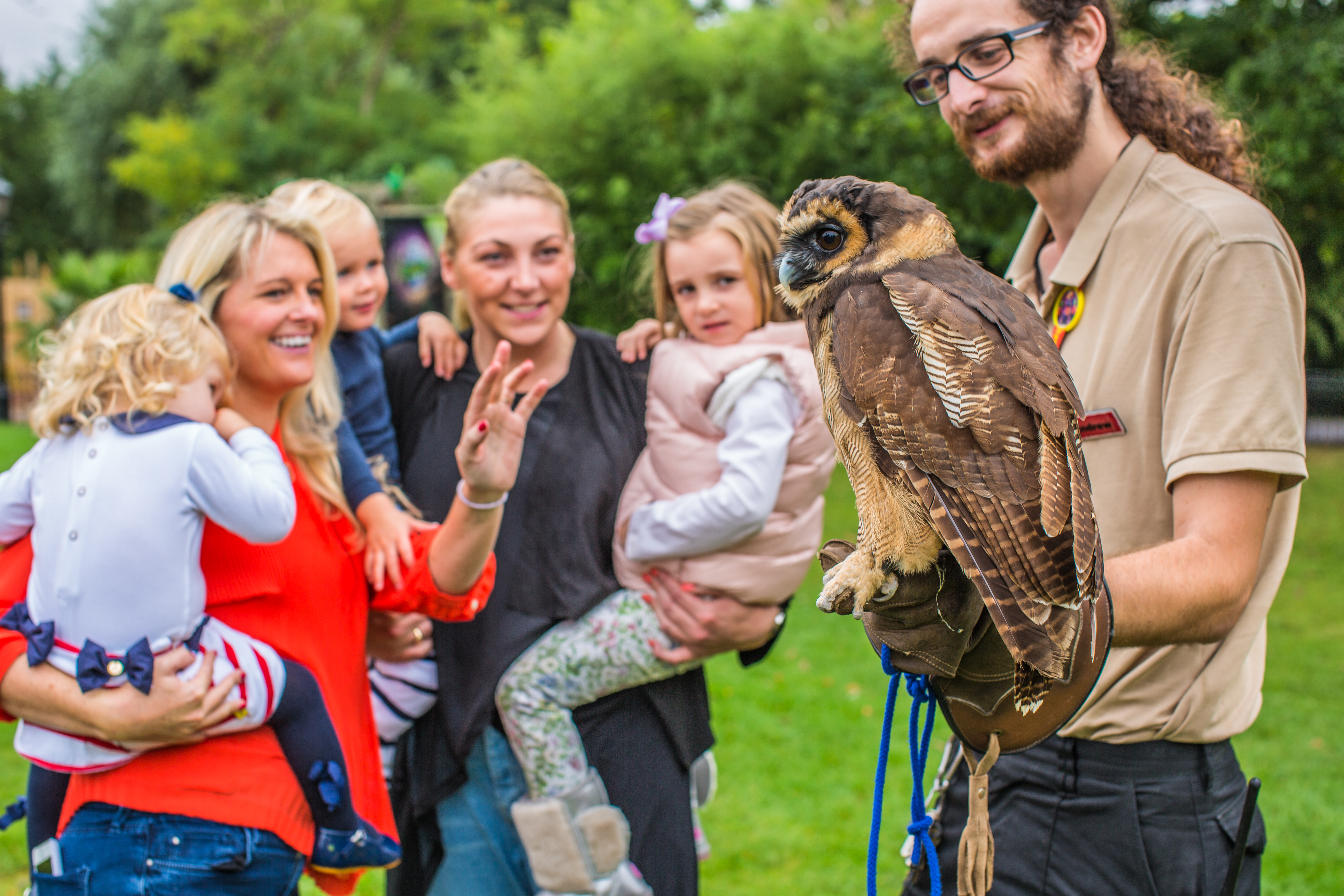 Meeting An Owl At Chessington World Of Adventures Resort