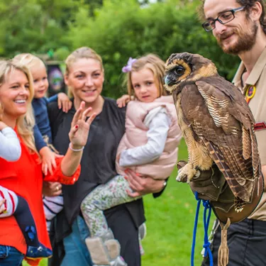 Meeting An Owl At Chessington World Of Adventures Resort