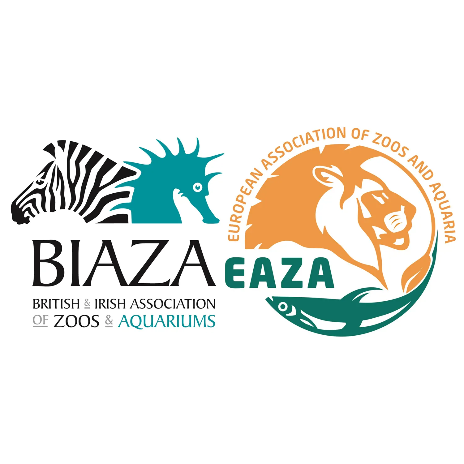 Charity Logos PNG (1)